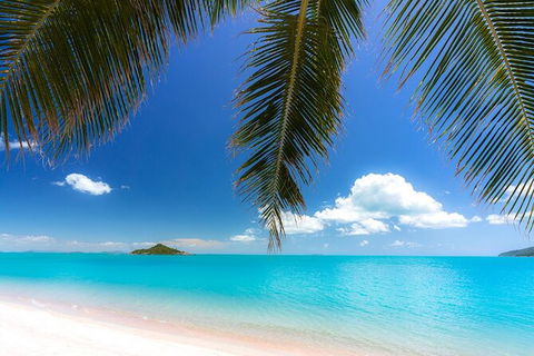 Rainforest To Reef Experience - Reef And Beyond Guided Holidays - Accommodation Sydney 1