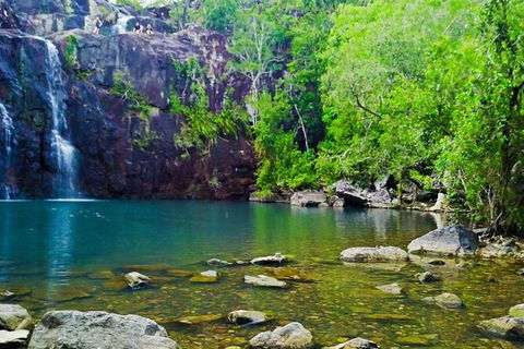 Rainforest To Reef Experience - Reef And Beyond Guided Holidays - Accommodation Sydney 5