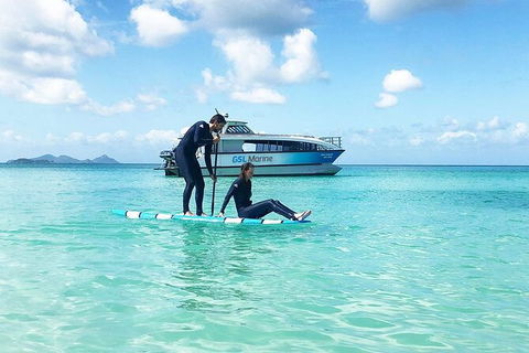 Rainforest To Reef Experience - Reef And Beyond Guided Holidays - Accommodation Sydney 3