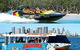 Paradise Jet Boating And Aquaduck Combo - thumb 0