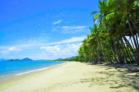 Airport Transfer - Palm Cove, Kewarra Beach & Trinity Beach To Cairns Airport - Accommodation Sydney 2