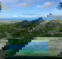 Daintree Luxury Limousine Tour - Full Day - Sydney 4u