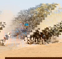 Cobb and Co Stagecoach Experience - Sydney Resort