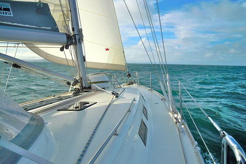 Sailing Curlew Escape On Moreton Bay - Accommodation Sydney 7