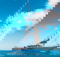 3 Day and 2 Night Whitsundays Maxi Sailing Adventure on Hammer