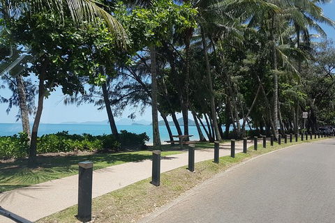 Private Transfers - Cairns Airport To Palm Cove - Sydney 4u 6
