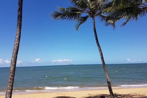 Private Transfers - Cairns Airport To Palm Cove - Sydney 4u 8