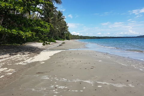Private Transfers - Cairns Airport To Palm Cove - Sydney 4u 1