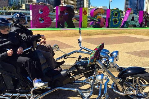 Unique Vehicle Tour Around Brisbane - Accommodation Sydney 3