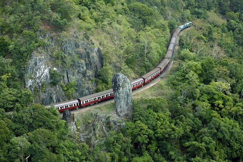 Sightseeing Kuranda Self-Driving Tour - Accommodation Sydney 1