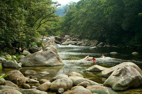 Port Douglas Daintree National Park Boutique Full-Day Tour - Sydney 4u 2