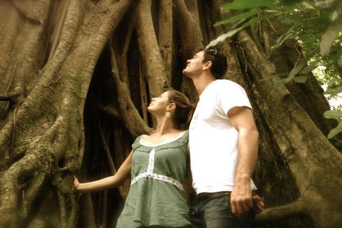 Port Douglas Daintree National Park Boutique Full-Day Tour - Sydney 4u 3