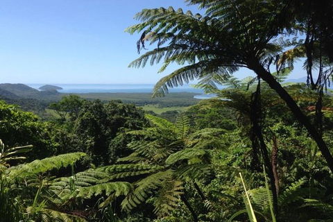 Port Douglas Daintree National Park Boutique Full-Day Tour - Sydney 4u 1