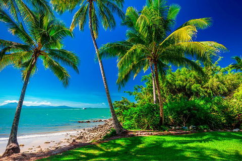 SHUTTLE - Port Douglas And Craiglie Return Transfer - Sydney 4u 2