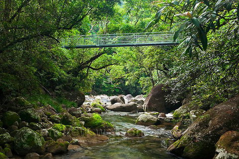SHUTTLE - Mossman Gorge & Cooya Beach From Port Douglas (Return Transfer) - Accommodation Sydney 4