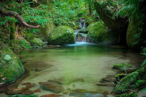 SHUTTLE - Mossman Gorge & Cooya Beach From Port Douglas (Return Transfer) - Accommodation Sydney 2