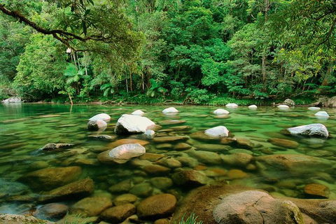 SHUTTLE - Mossman Gorge & Cooya Beach From Port Douglas (Return Transfer) - Accommodation Sydney 3