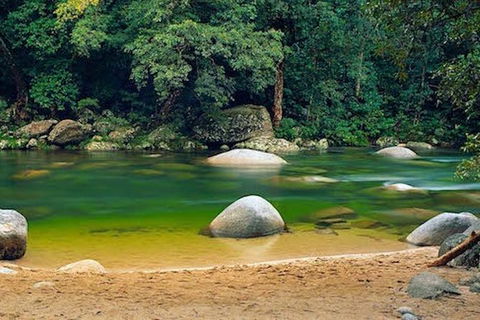 SHUTTLE - Mossman Gorge & Cooya Beach From Port Douglas (Return Transfer) - Accommodation Sydney 1