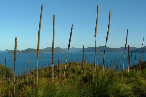 7-Day Private Sea Kayaking In Whitsundays - Accommodation Sydney 8
