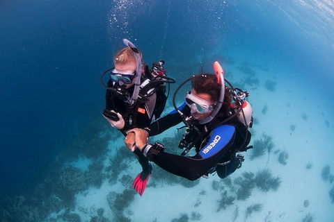 PADI Diving Courses On The Gold Coast - Sydney 4u 5