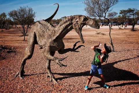 8-Day Outback Experience From Queensland - Accommodation Sydney 14