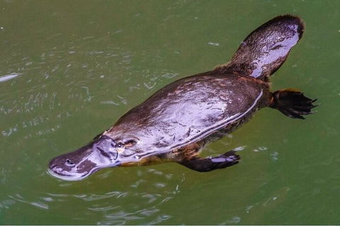 8-Day Outback Experience From Queensland - Accommodation Sydney 15