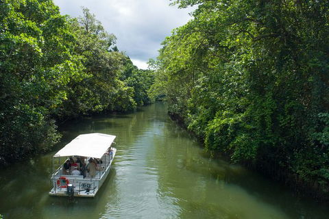 World Heritage Highlights: Reef/Daintree/Cape Tribulation - Sydney 4u 1