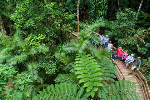 World Heritage Highlights: Reef/Daintree/Cape Tribulation - Sydney 4u 3