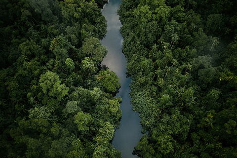 World Heritage Highlights: Reef/Daintree/Cape Tribulation - Sydney 4u 10