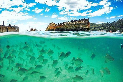 Adventure Moreton Island Day Pass - Accommodation Sydney 1