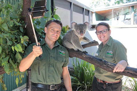 Virtual Interactive Australian Wildlife Tour With Private Guide-Wildlife Habitat - Sydney 4u 4