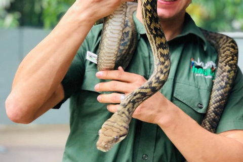 Virtual Interactive Australian Wildlife Tour With Private Guide-Wildlife Habitat - Sydney 4u 3