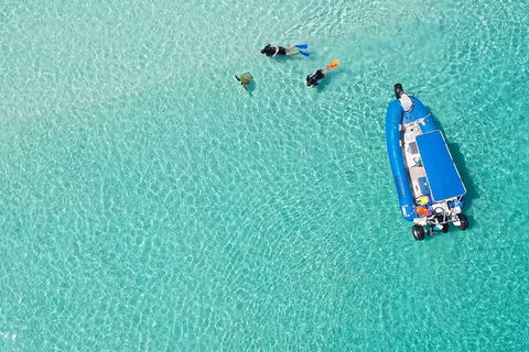 Remote Fraser Island & Whale Experience - Sydney 4u 0