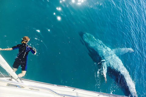 Remote Fraser Island & Whale Experience - Sydney 4u 4