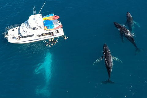 Remote Fraser Island & Whale Experience - Sydney 4u 3