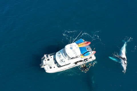 Remote Fraser Island & Whale Experience - Sydney 4u 1