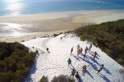Remote Fraser Island & Whale Experience - Sydney 4u 2