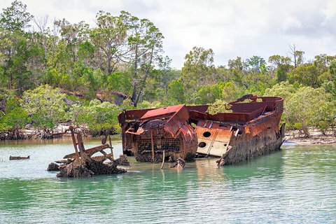 Sandy Straits Scenic & Wildlife Cruise - Sydney Resort 9