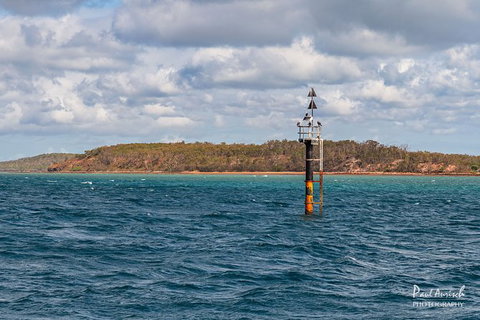 Sandy Straits Scenic & Wildlife Cruise - Sydney Resort 6