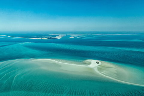 Sandy Straits Scenic & Wildlife Cruise - Sydney Resort 5