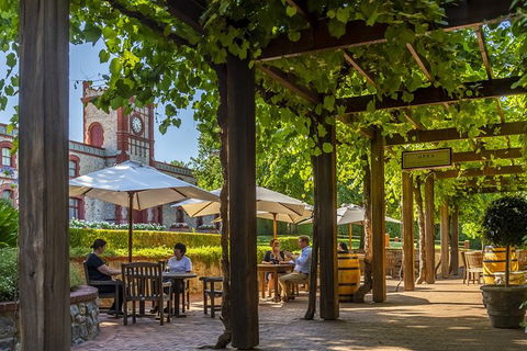 Yalumba Nursery & Grenache Discovery Tour + Platter Lunch - Accommodation Sydney 4