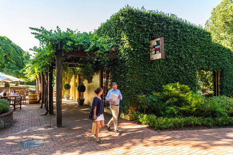 Yalumba Nursery & Grenache Discovery Tour + Platter Lunch - Accommodation Sydney 3