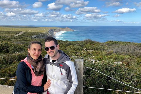 NEW TOUR - Flinders Chase Tour (Recovering From Fires) - Accommodation Sydney 3