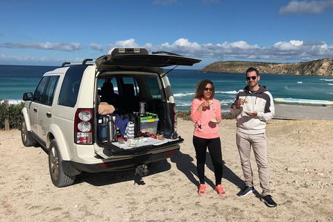 NEW TOUR - Flinders Chase Tour (Recovering From Fires) - Accommodation Sydney 0