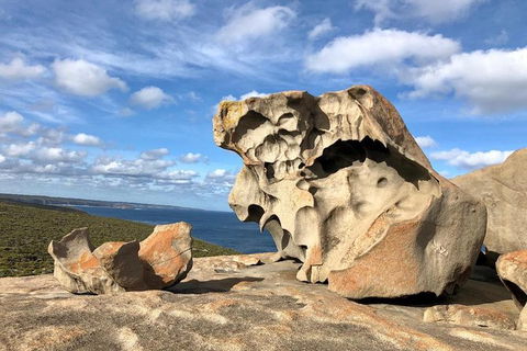 NEW TOUR - Flinders Chase Tour (Recovering From Fires) - Accommodation Sydney 2