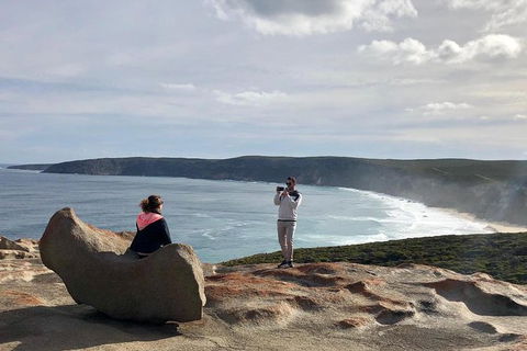 NEW TOUR - Flinders Chase Tour (Recovering From Fires) - Accommodation Sydney 5