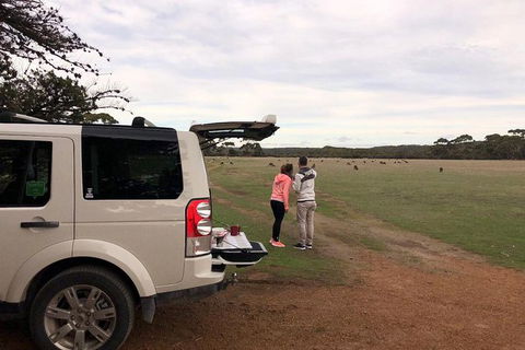 NEW TOUR - Flinders Chase Tour (Recovering From Fires) - Accommodation Sydney 6