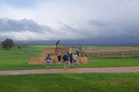 Private Wine Tour - Accommodation Sydney 4