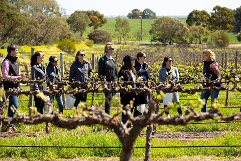 Walk, Taste, Graze - Experience At Pindarie - Accommodation Sydney 2