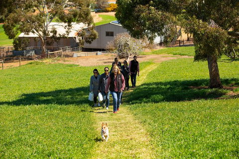 Walk, Taste, Graze - Experience At Pindarie - Accommodation Sydney 7